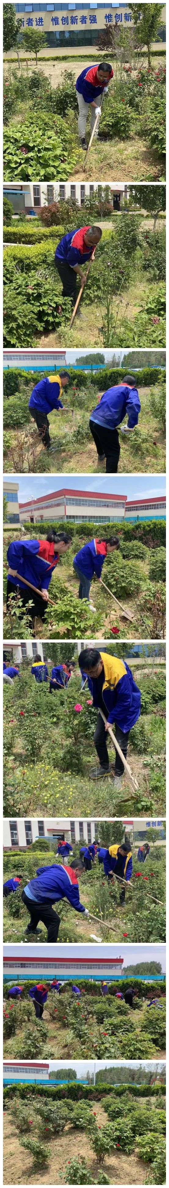 青島銳智黨支部開展“清除雜草 美化環境”主題黨日活動 青島銳智黨支部開展“清除雜草 美化環境”主題黨日活動