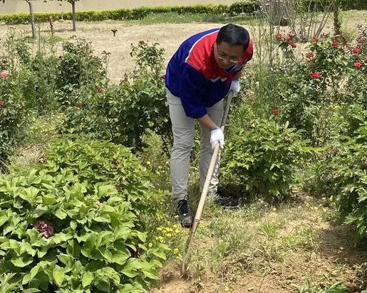 青島銳智黨支部開展“清除雜草 美化環境”主題黨日活動